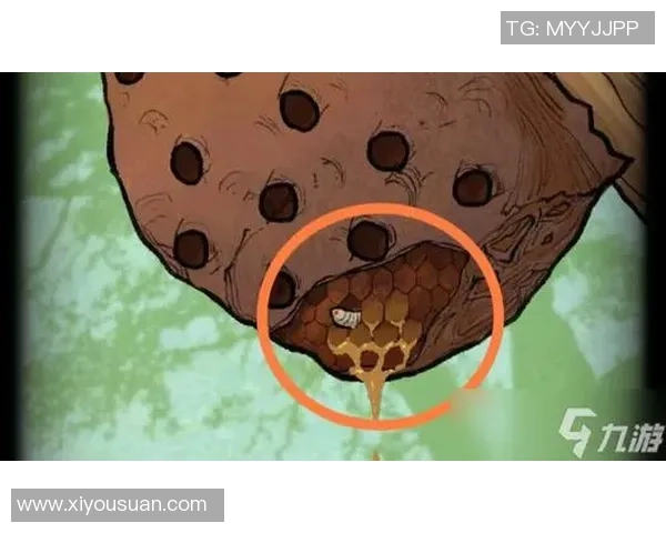 趣味足球谜题挑战通过线索猜出球星所属的国家