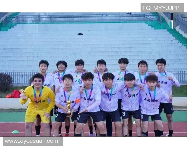 足球星视界荔枝引领绿茵风潮共赏激情赛场与闪耀巨星风采